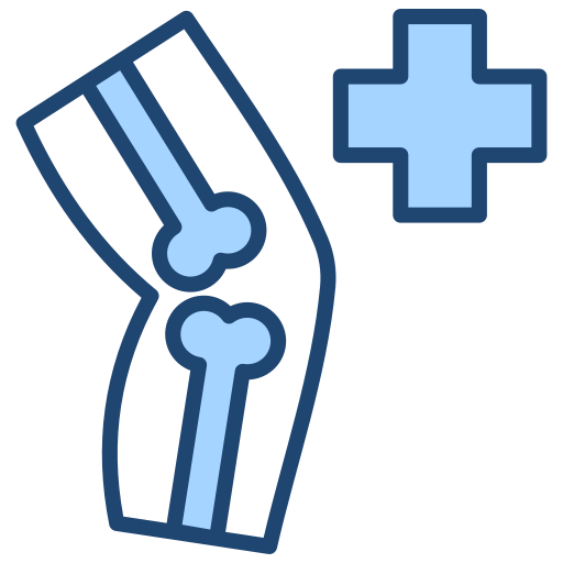 Ortopedija Icon